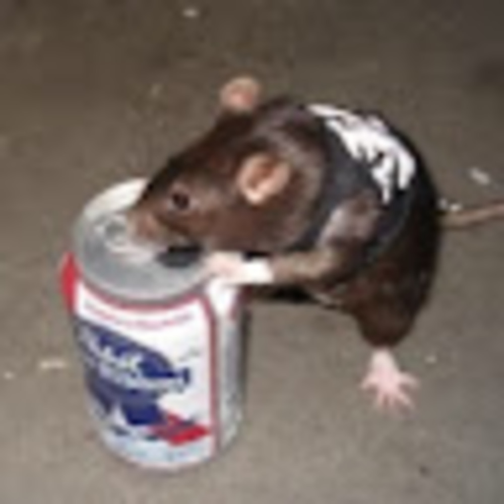 Meet your Posher, Licc